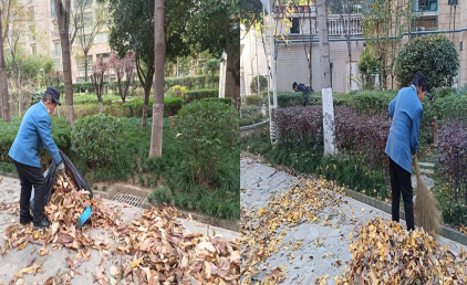 冬日里的温暖:精耕细作的“园区守护者”