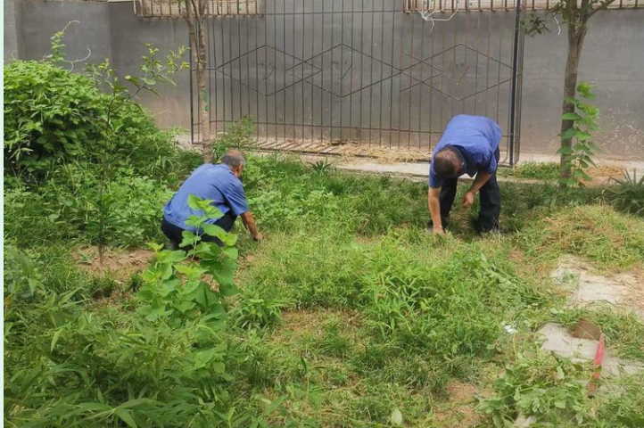 不畏酷暑战高温 夏季绿化养护忙