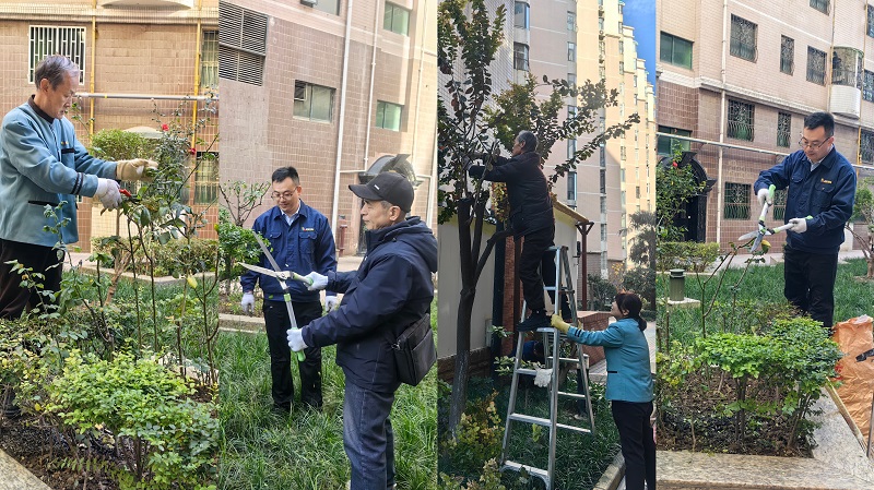 冬日里的修剪,只为静待春日繁华